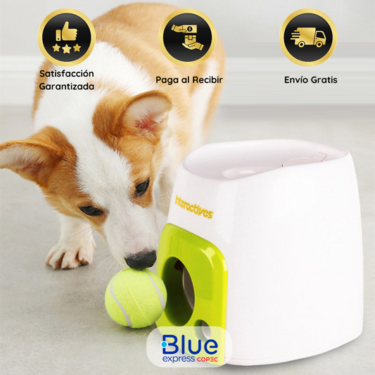 🎾 Maquina de Recompensa para Mascotas (30% OFF) 🐕