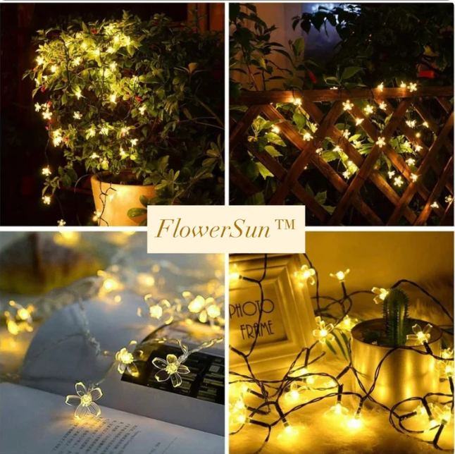 Luces Solares Florales – Decorá tu espacio sin enchufes ni esfuerzo