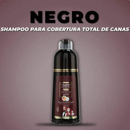 Shampoo Pinta Canas Max Belle – Color impecable sin peluquería, sin complicaciones
