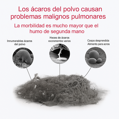 DeepClean Pro™ – La limpieza que tu colchón necesitaba hace años