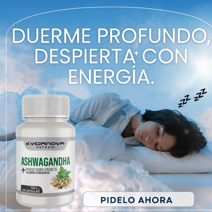 Duerme profundo, reduce la ansiedad, mejora tu ánimo y despierta con energía real ☀️