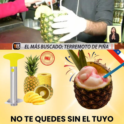 TerremoPiña™ para dejar tu piña lista pa’l terremoto