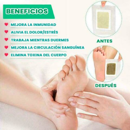 Kinoki Detox Pro™ – Elimina toxinas mientras duermes (PROMO 50 PARCHES)